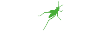 /assets/service/3d-renderer/software/software-3